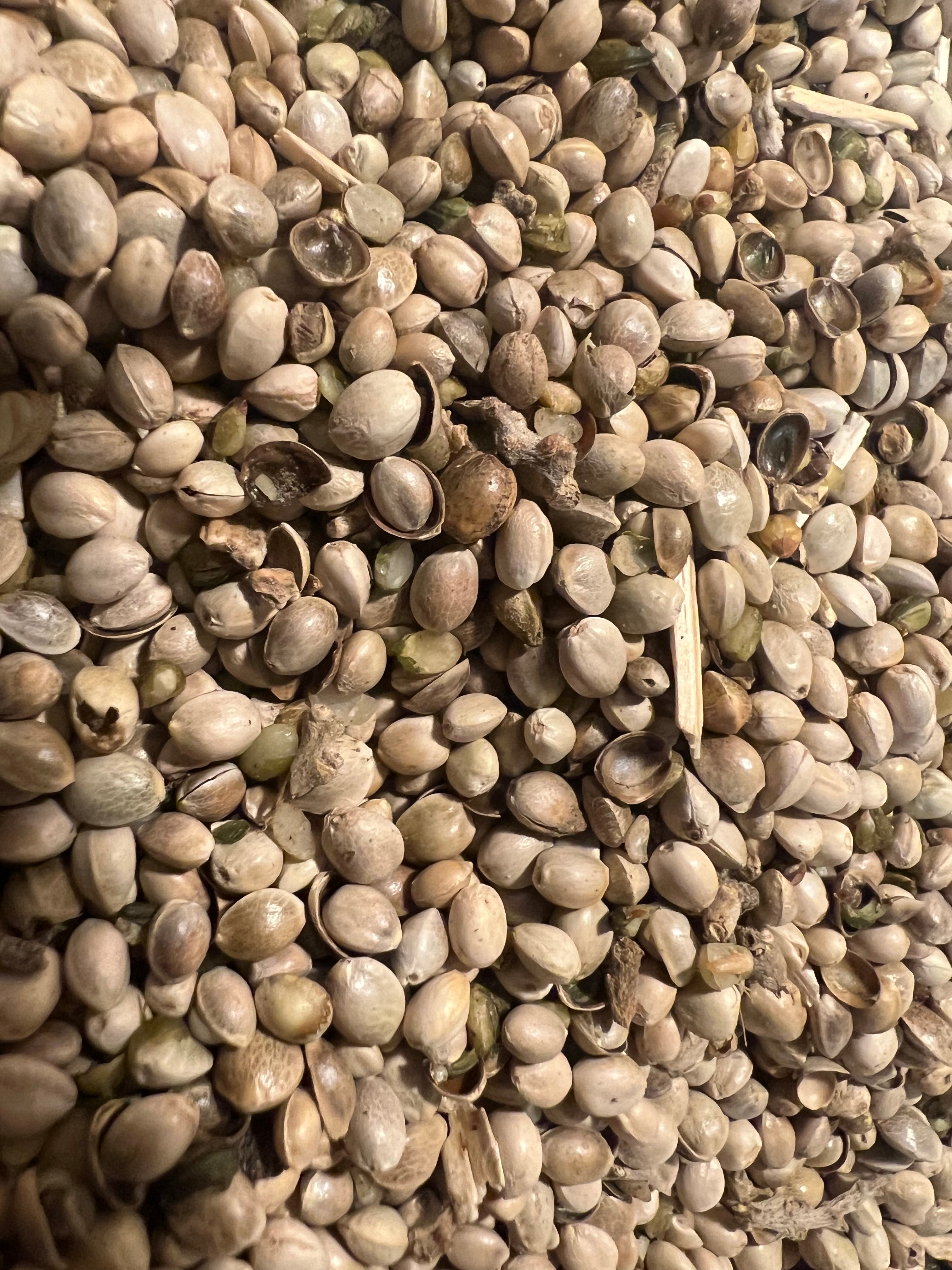 Ripkitty Premium Raw Organic Hemp Seeds Poultry Birds