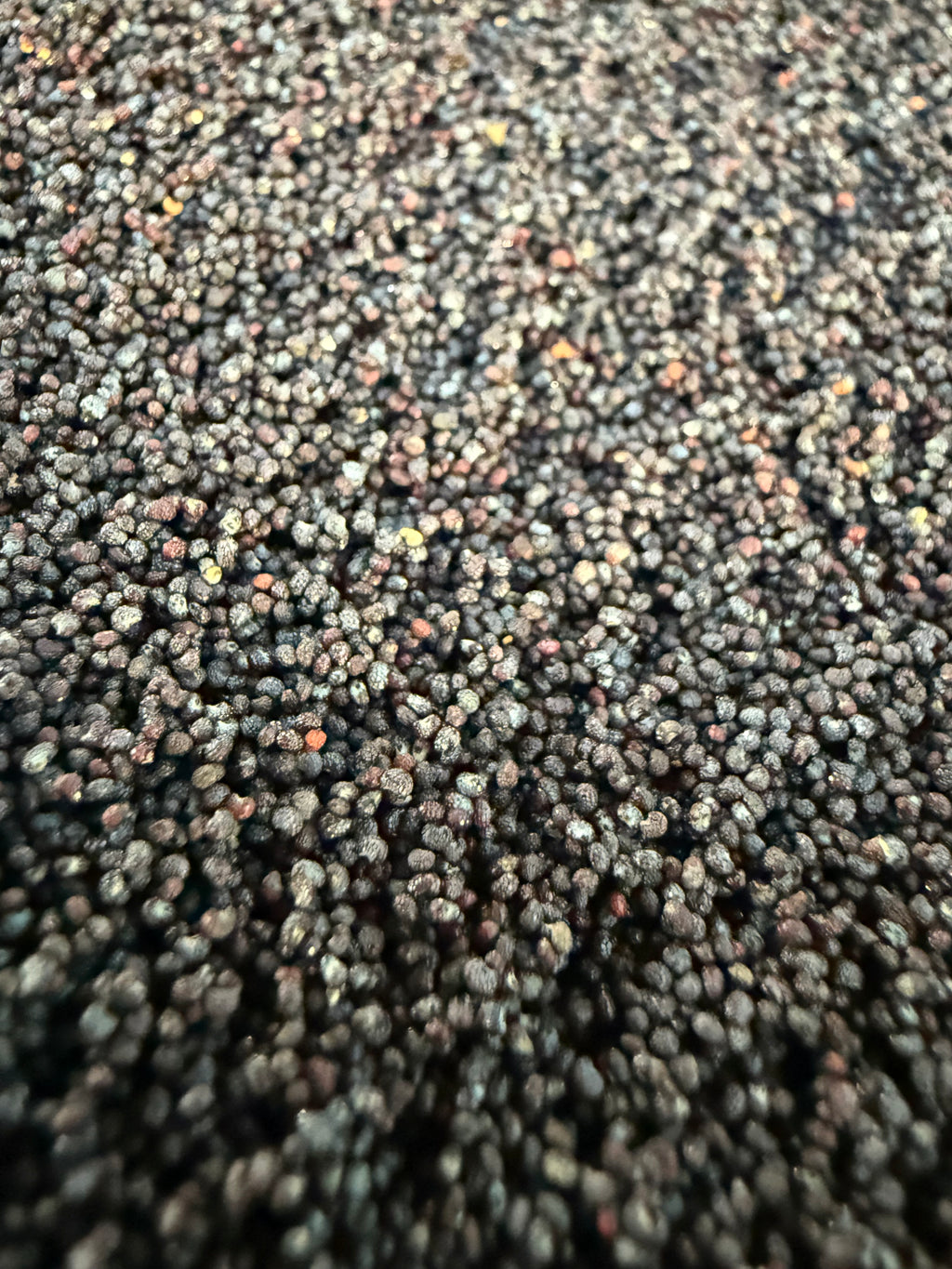 Ripkitty Premium Unwashed Untreated Unprocessed Organic Natural Whole Raw Papaver Somniferum Culinary Poppy Seeds