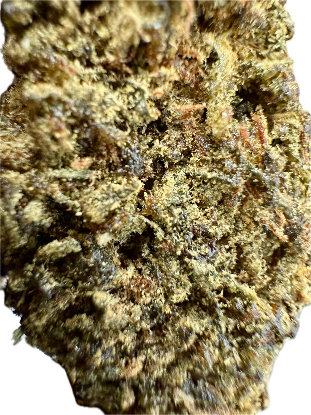 Ripkitty Sour Hawaiian Haze HHC Hemp Flowers