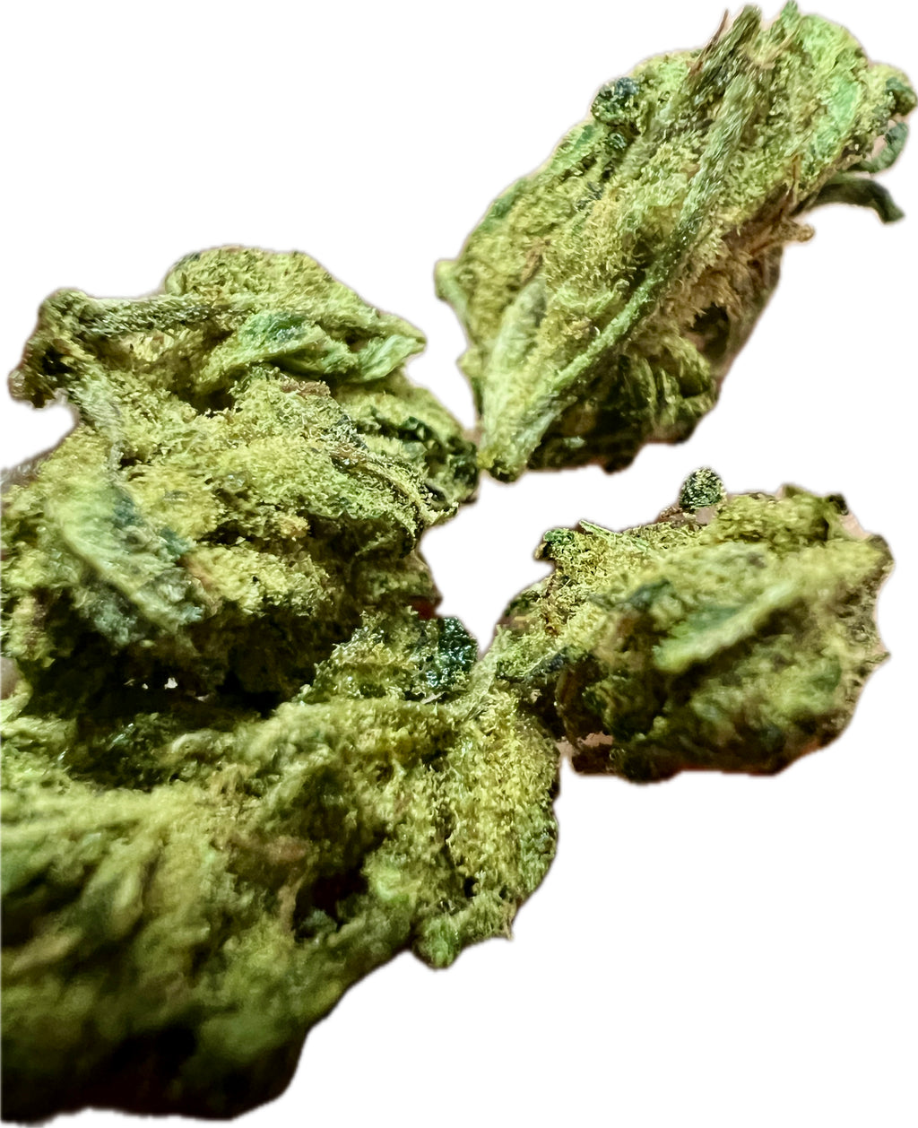 Ripkitty Sour Hawaiian Haze HHC Hemp Flowers