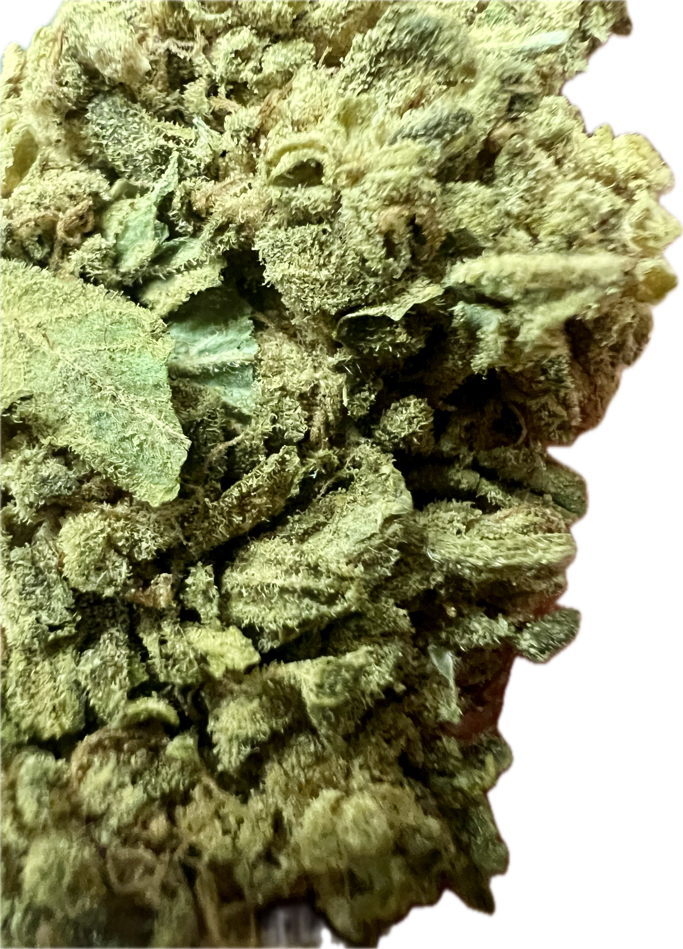 Ripkitty Sour G CBG Hemp Flowers