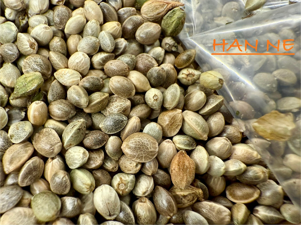 Ripkitty International & Domestic Live Raw Viable Hemp Seeds Sold in Bulk & Single Amounts for Agriculture, Poultry, Equine Feeding, & Livestock