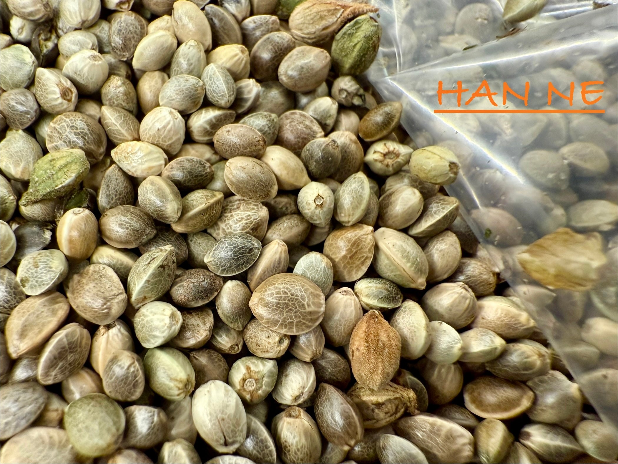 Ripkitty International & Domestic Live Raw Viable Hemp Seeds Sold in Bulk & Single Amounts for Agriculture, Poultry, Equine Feeding, & Livestock