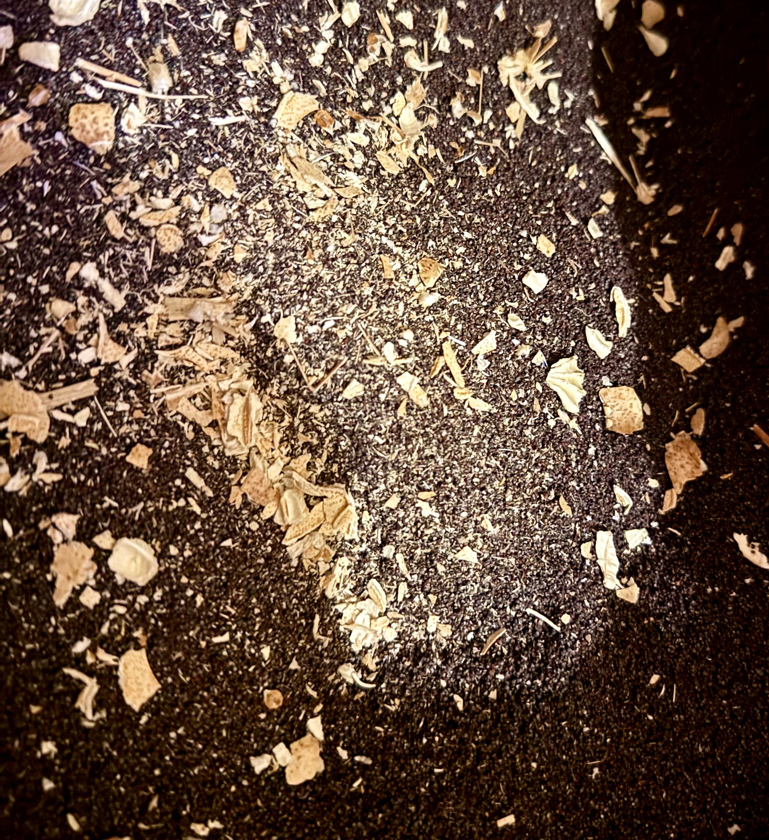 Ripkitty Premium Unwashed Untreated Unprocessed Organic Natural Whole Raw Papaver Somniferum Culinary Poppy Seeds