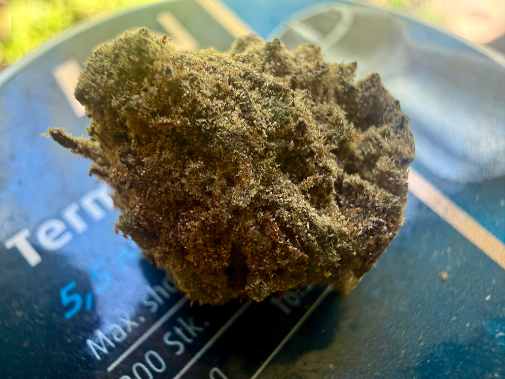 Ripkitty Purple Snowman Delta 8 CBD Hemp Flower