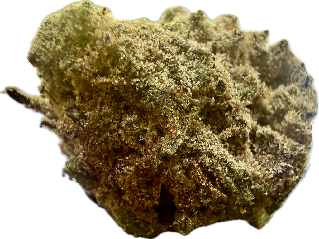 Ripkitty Purple Snowman Delta 8 CBD Hemp Flower