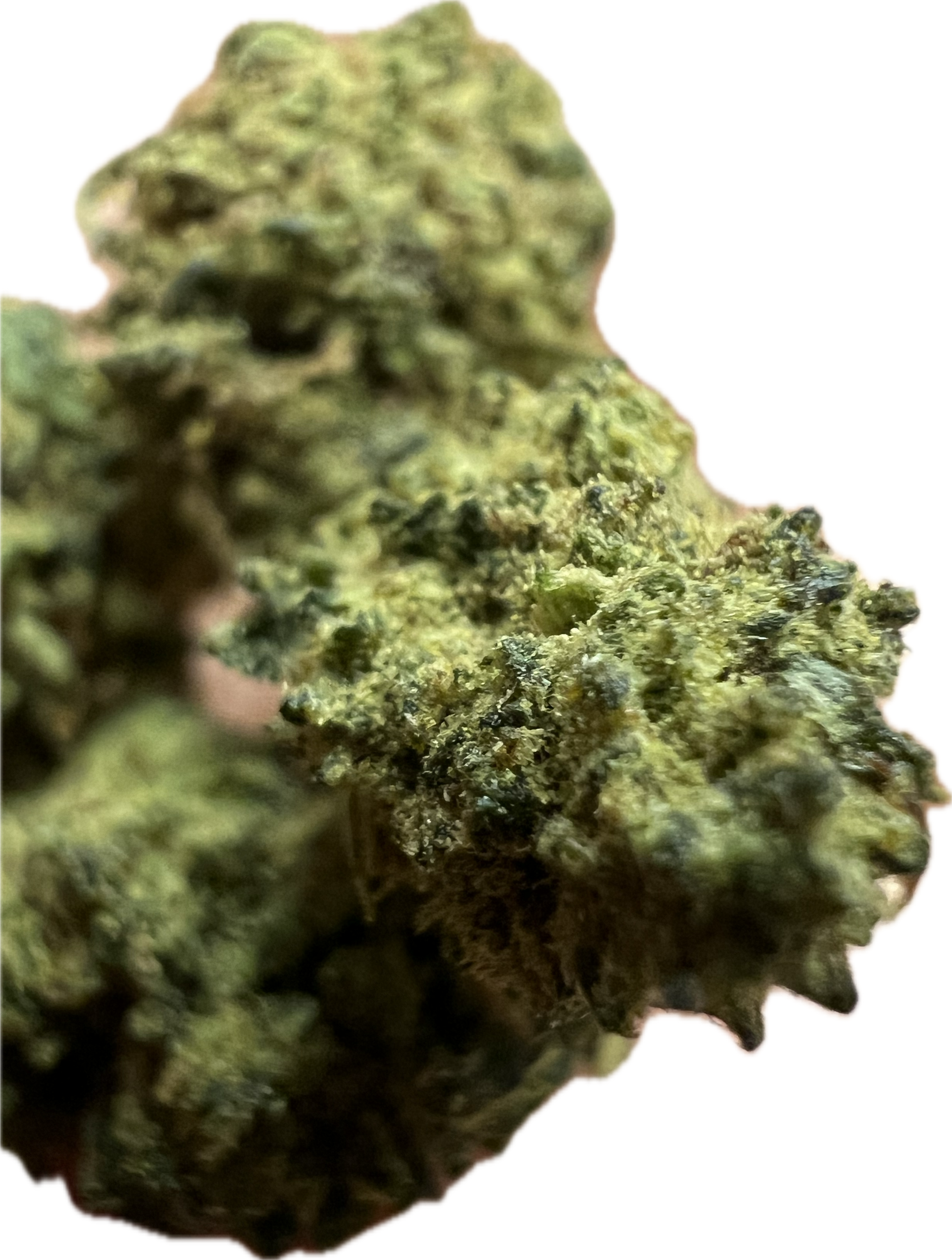 Ripkitty Royal OG HHC Hemp Flowers