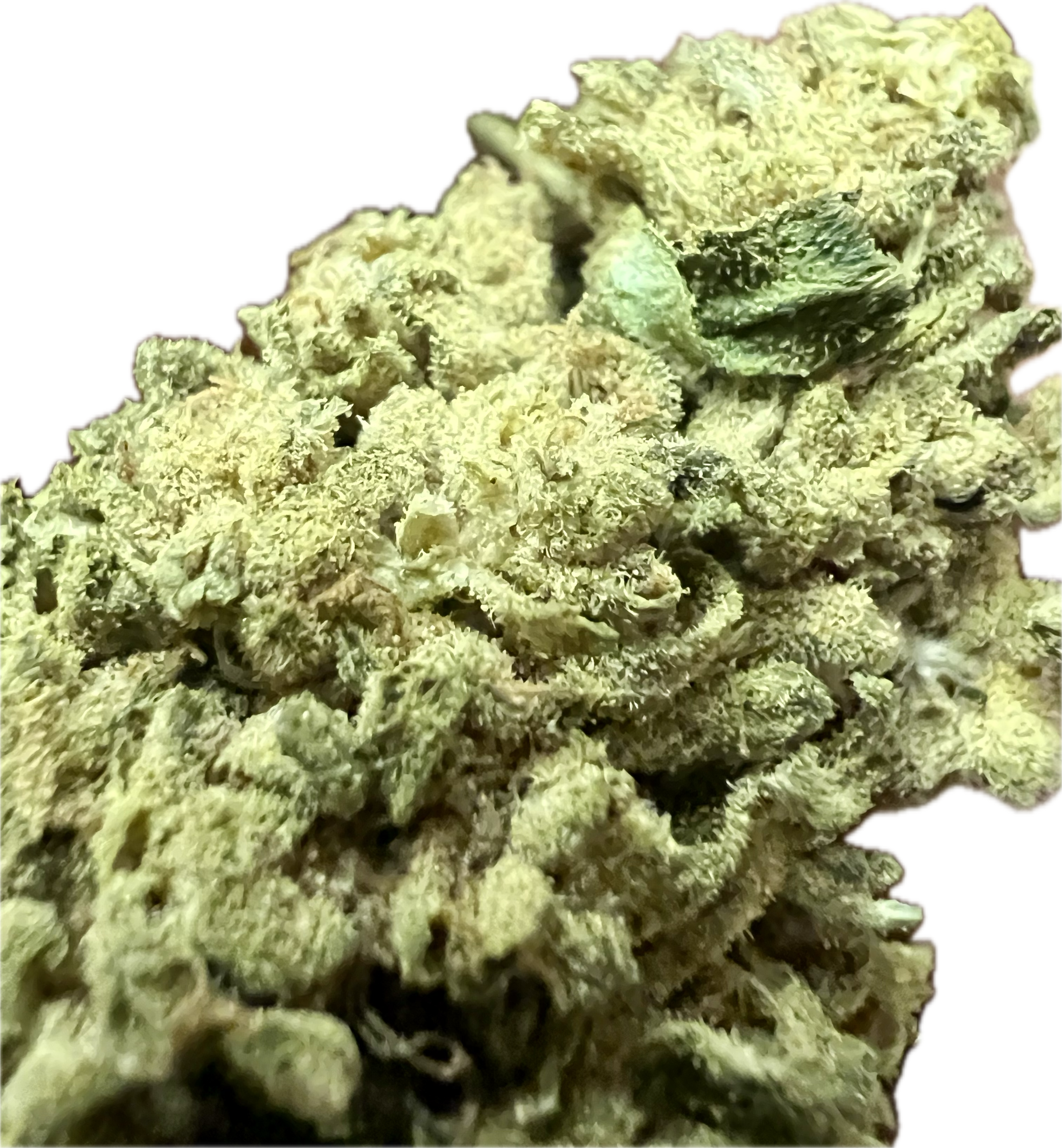 Ripkitty Sour G CBG Hemp Flowers