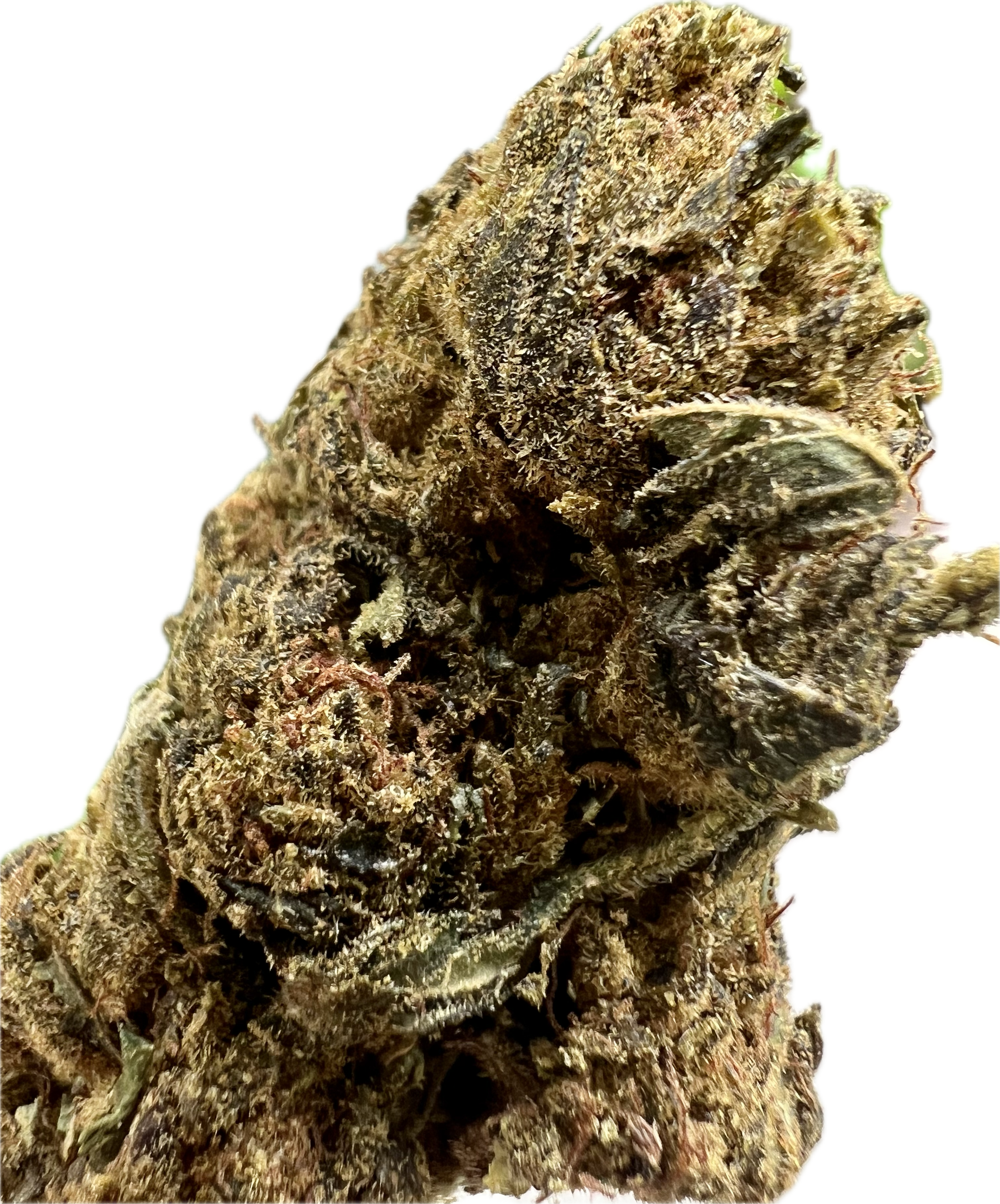 Ripkitty Black Truffle THCA Hemp Flowers