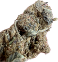 Ripkitty Black Truffle THCA Hemp Flowers Close Up