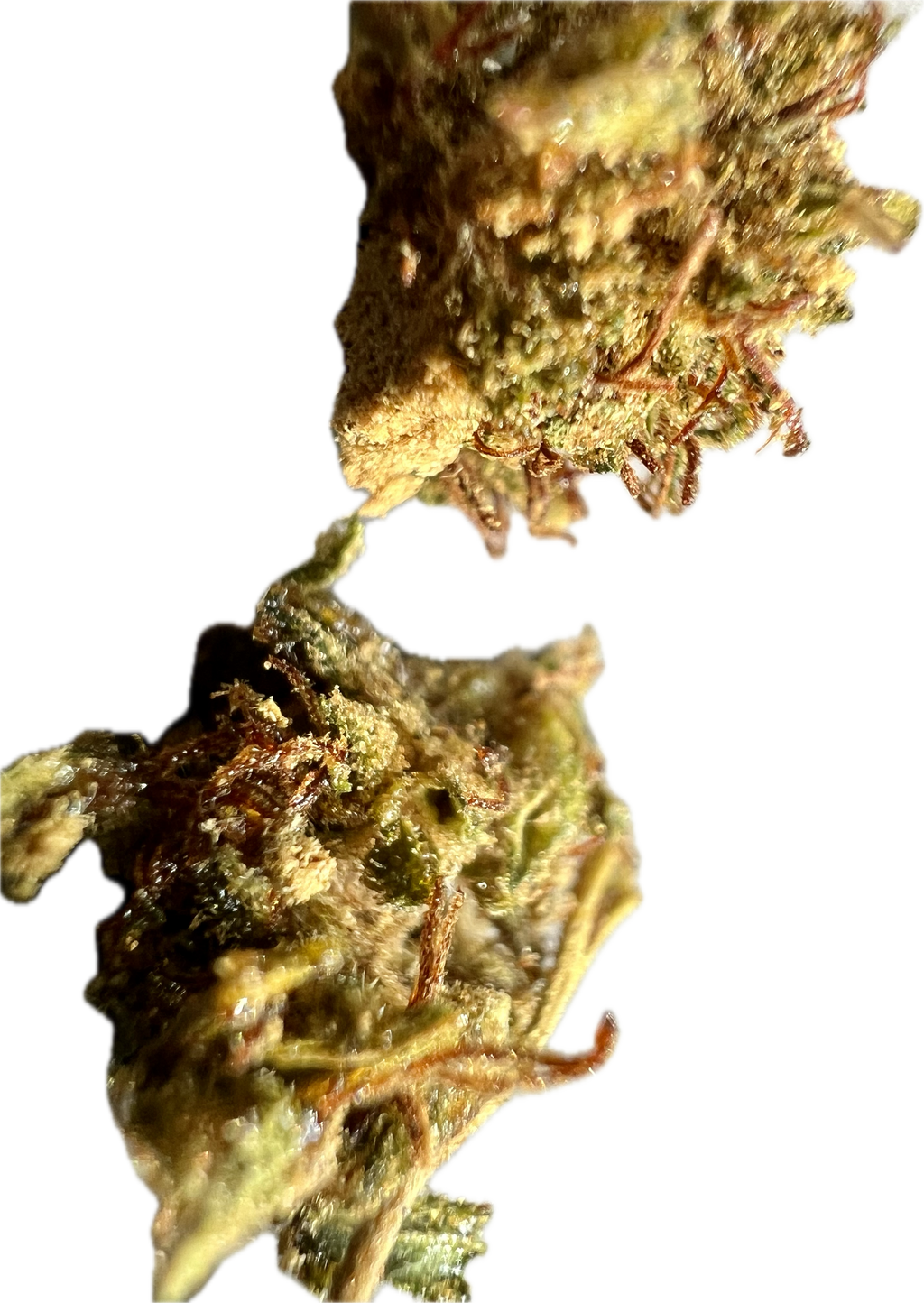 Ripkitty Super Sour Lifter HHC Hemp Flowers