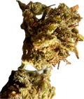 Ripkitty Super Sour Lifter HHC Hemp Flowers