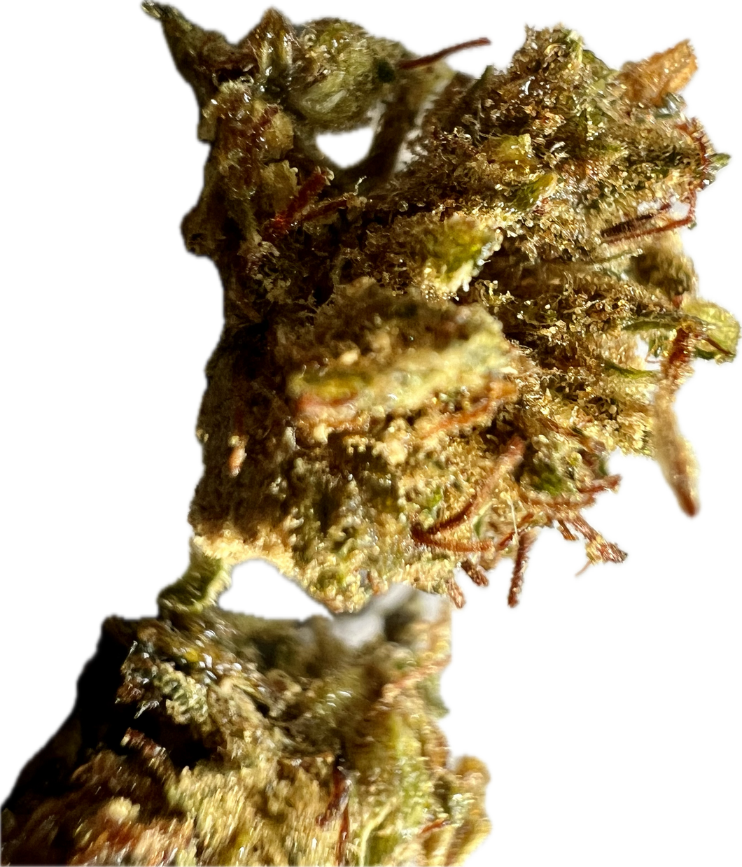Ripkitty Super Sour Lifter HHC Hemp Flowers