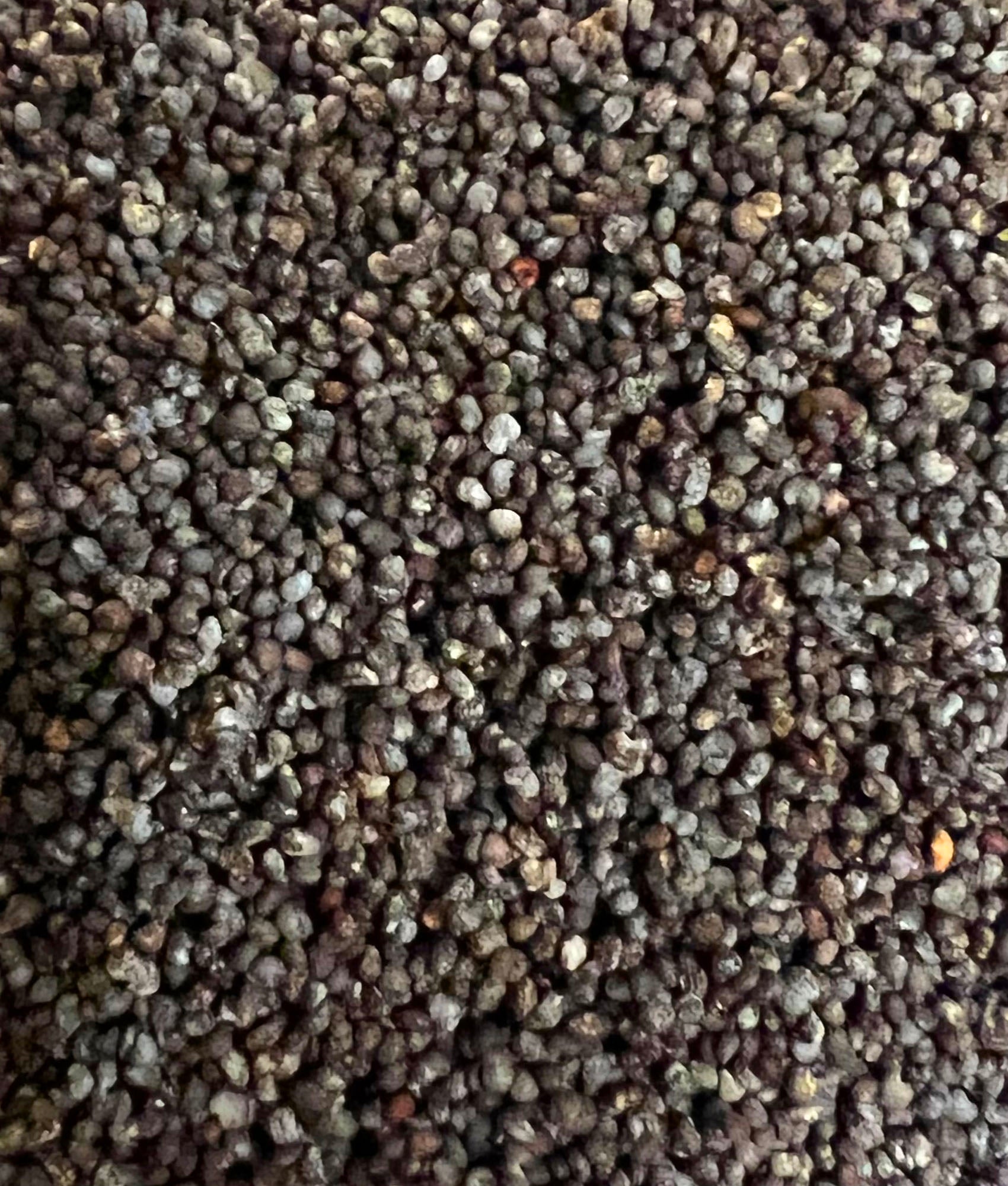 Ripkitty Premium Unwashed Untreated Unprocessed Organic Natural Whole Raw Papaver Somniferum Culinary Poppy Seeds