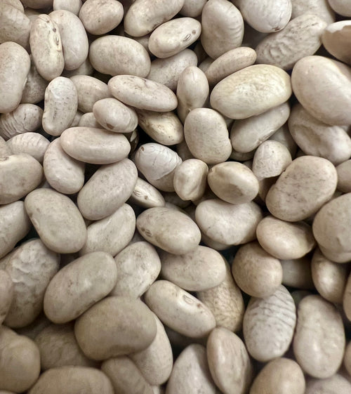 White Beans “Cannellini” Seeds Grow Your Own