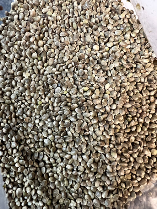 Ripkitty Premium Live Raw Viable Sprouts Organic Whole Hemp Seeds