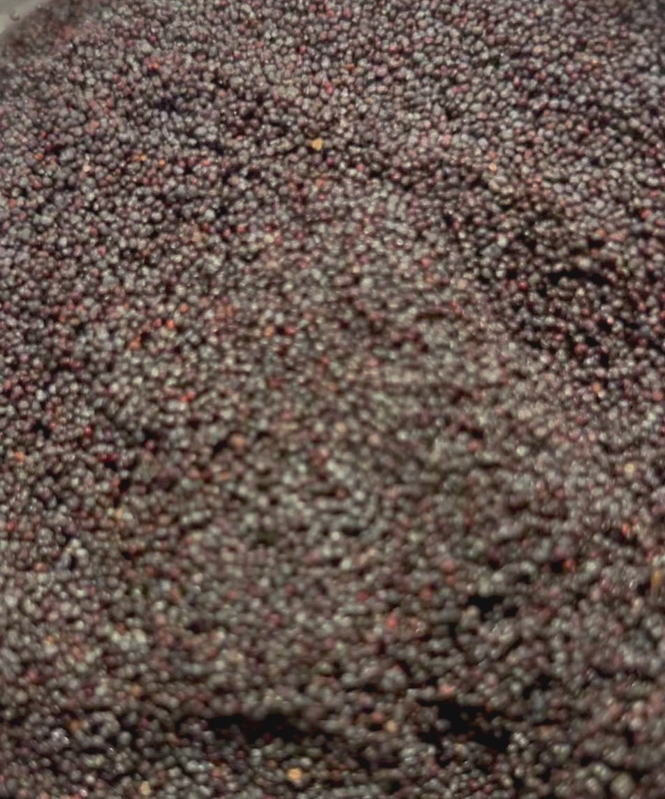 Ripkitty Premium Unwashed Untreated Unprocessed Organic Natural Whole Raw Papaver Somniferum Culinary Poppy Seeds
