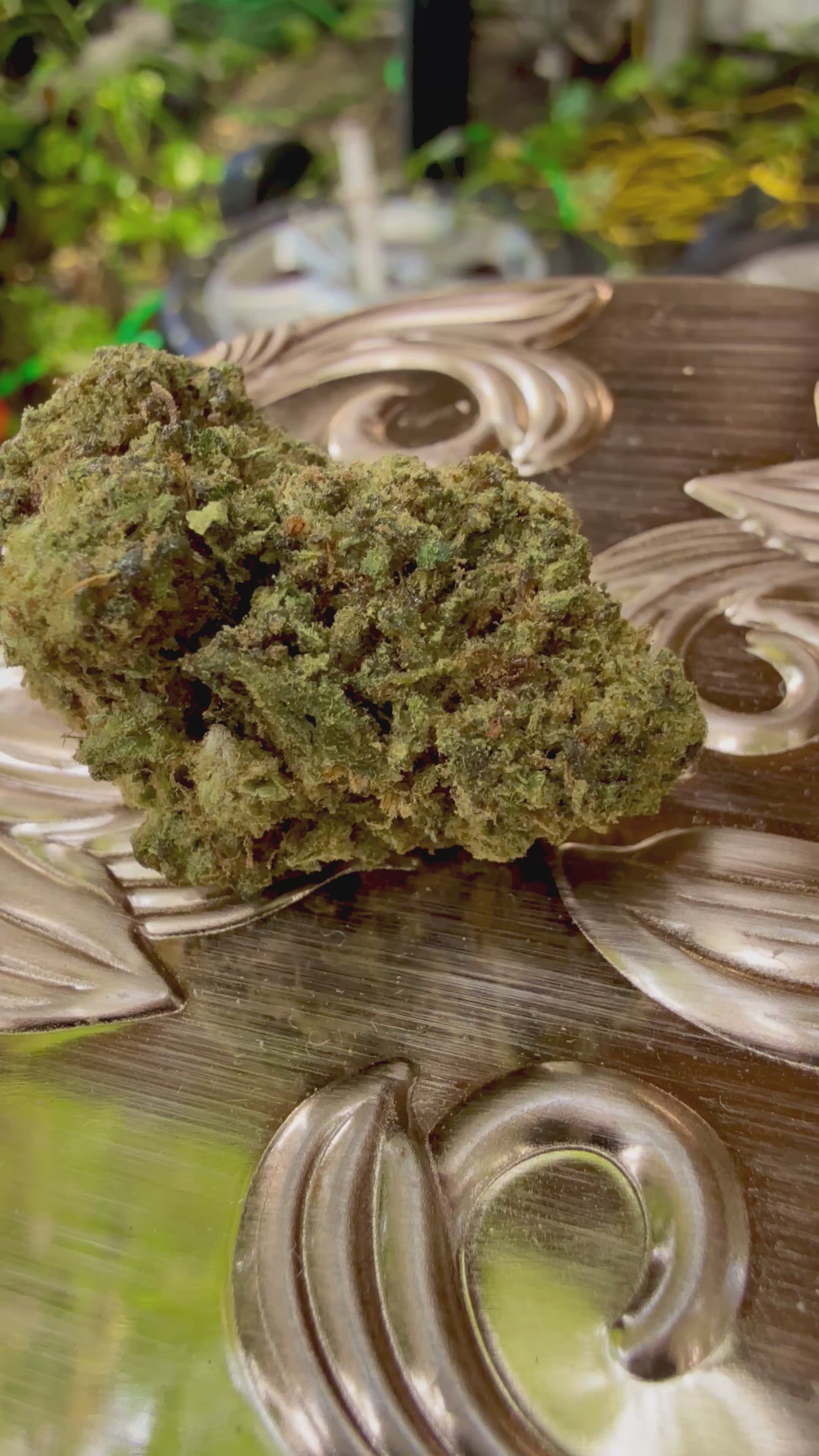 Ripkitty Bubba Kush 59 HHC Hemp Flowers