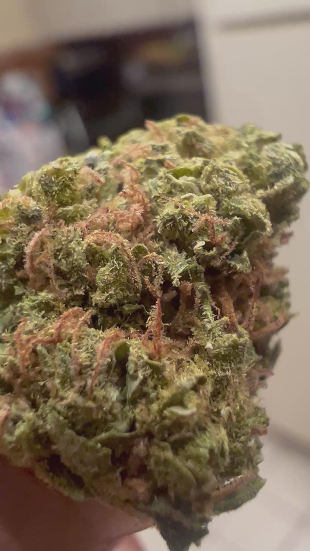 Ripkitty Cherry Abacus CBD Hemp Flower