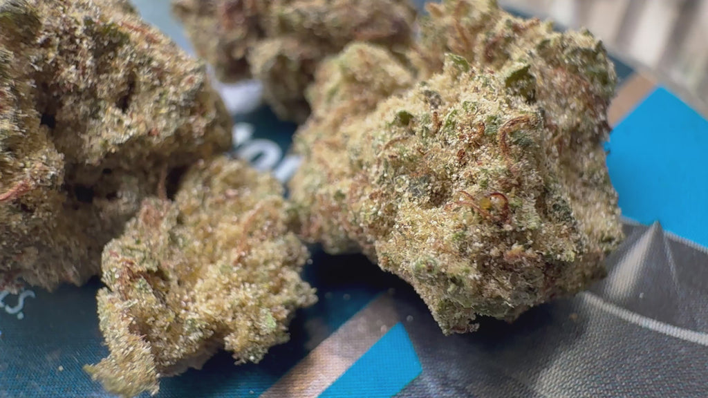 Ripkitty Pineapple Sangria Delta-8 hemp flower — 360° display video showing dense olive-green nugs with golden trichome coverage, prominent rust-amber pistils, and dense bud structure