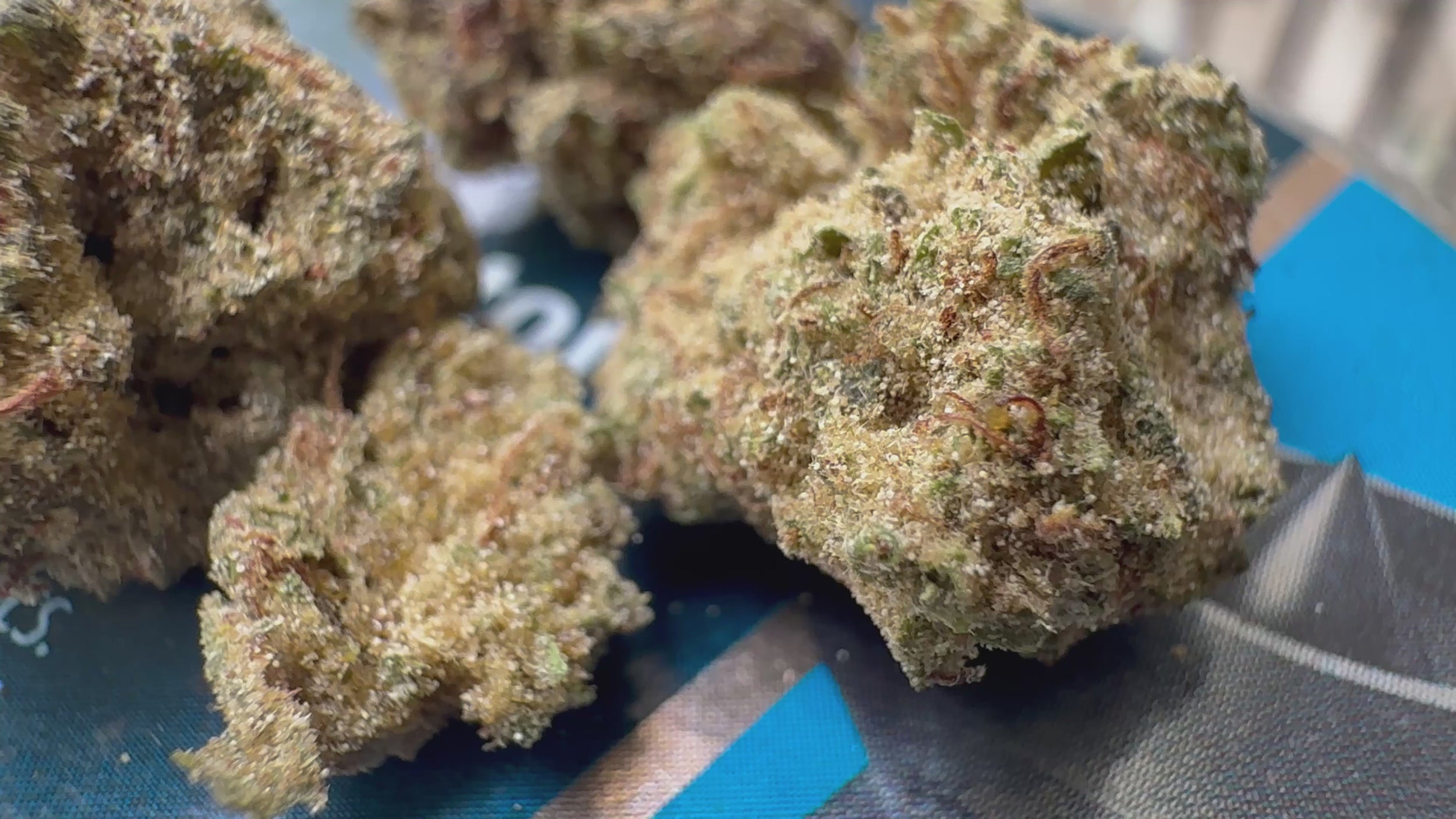 Ripkitty Pineapple Sangria Delta-8 hemp flower — 360° display video showing dense olive-green nugs with golden trichome coverage, prominent rust-amber pistils, and dense bud structure