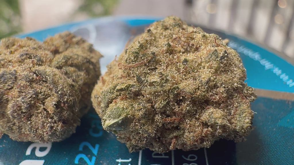 Ripkitty Angel Cake Delta-8 Hemp Flower