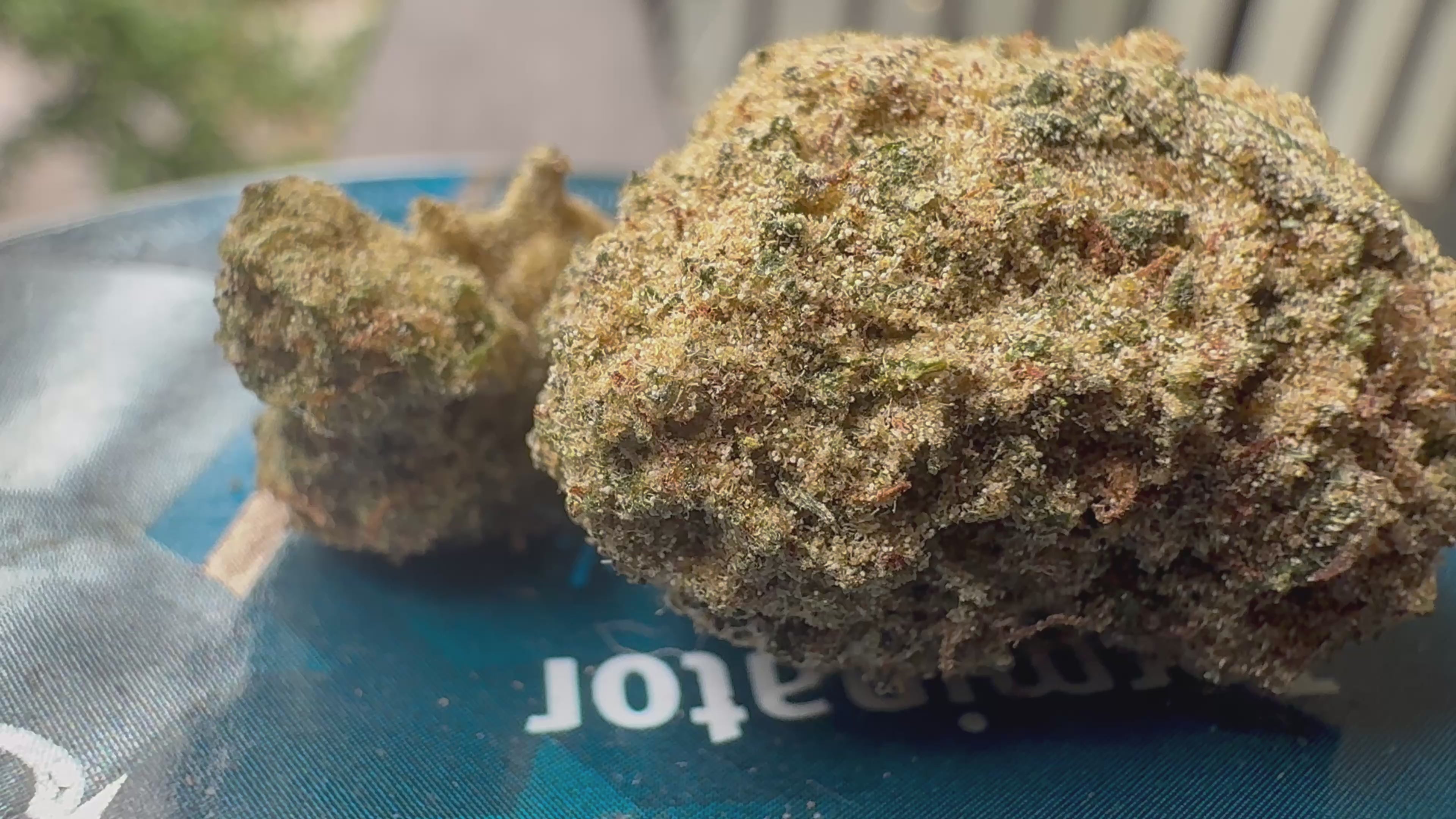  Ripkitty Elk Paccio Delta-8 hemp flower moonrock — 360° display video showing thick golden-tan kief and concentrate coating over dense green calyxes, amber pistils, and heavy trichome crystal exterior