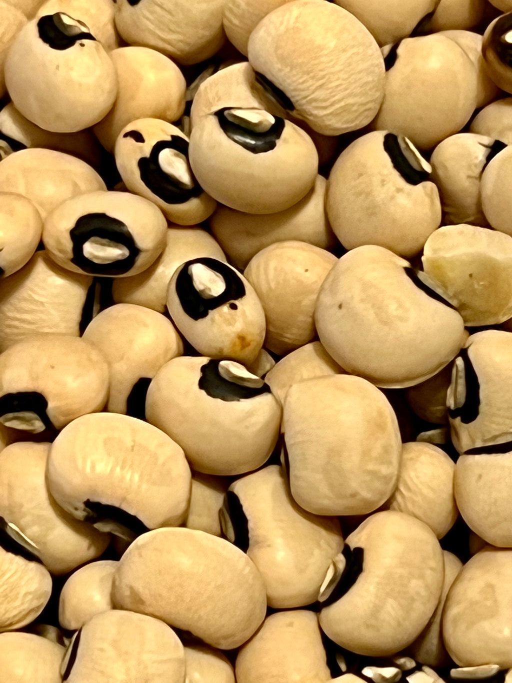 Ripkitty Black Eyed Peas - Vigna Unguiculata High-Yield Non-GMO Seeds