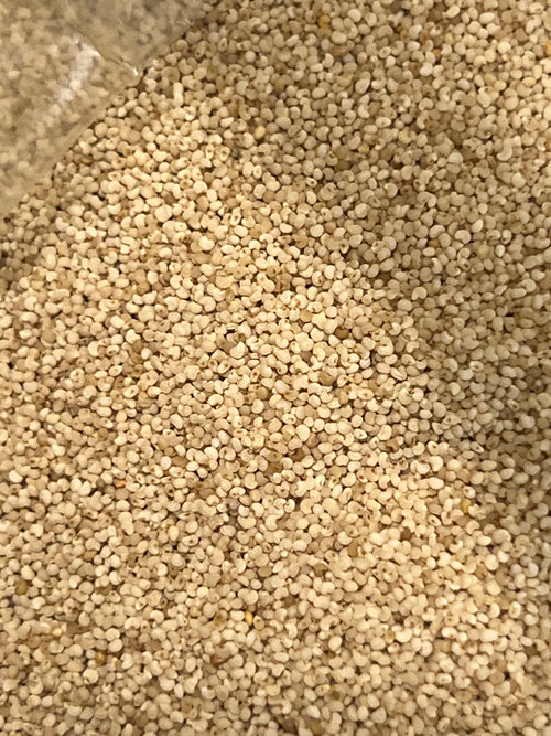 Ripkitty Premium Whole Raw Organic - White Poppy Seeds - Papaver Somniferum - Multicolor Ornamental
