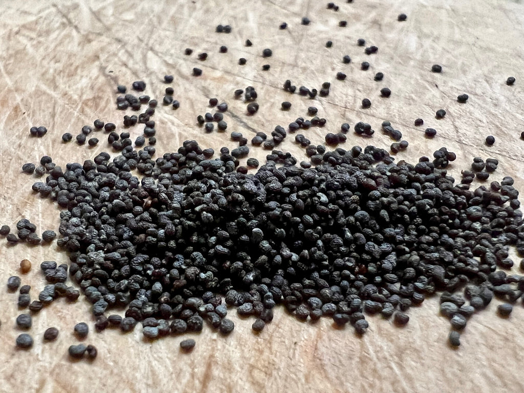 Ripkitty Premium Whole Raw Organic Blue Poppy Spain Seeds - Papaver Somniferum - Multicolor - Ornamental Garden Bloom