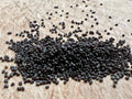 Ripkitty Premium Whole Raw Organic Blue Poppy Spain Seeds - Papaver Somniferum - Multicolor - Ornamental Garden Bloom