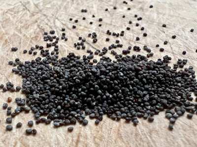 Ripkitty Premium Whole Raw Organic Blue Poppy Spain Seeds - Papaver Somniferum - Multicolor - Ornamental Garden Bloom