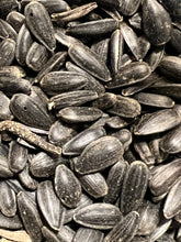 Load image into Gallery viewer, Ripkitty Premium Black Oil Sunflower Seeds
