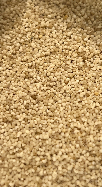 Ripkitty Premium Whole Raw Organic - White Poppy Seeds - Papaver Somniferum - Multicolor Ornamental